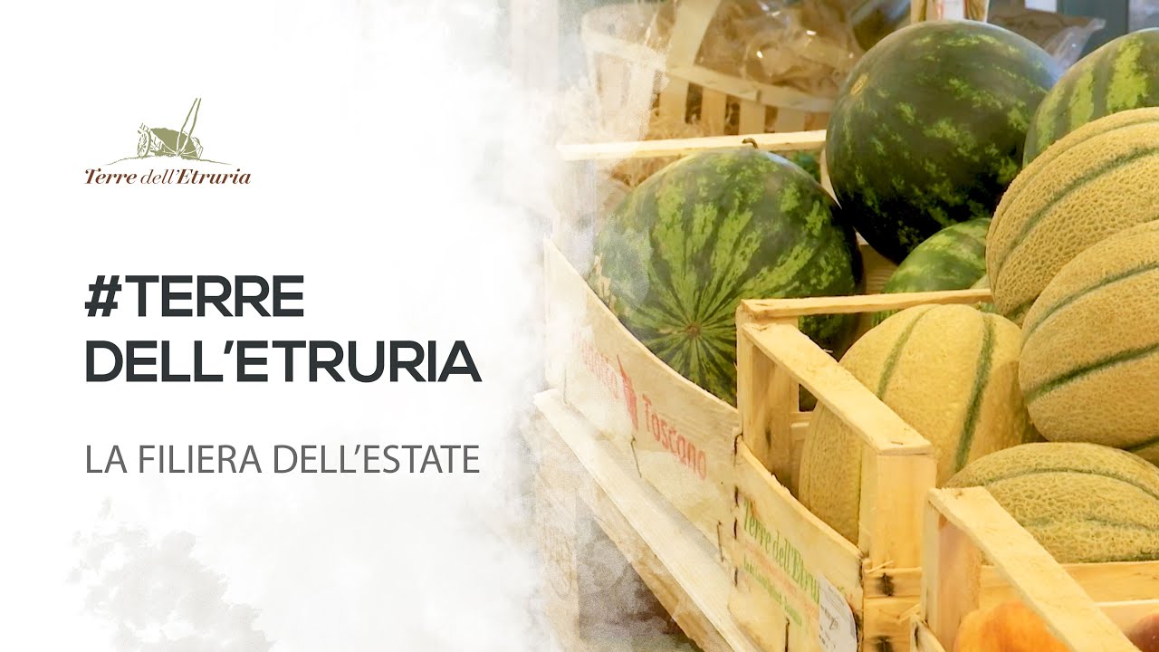 Terre dell'Etruria - La Filiera dell'Estate
