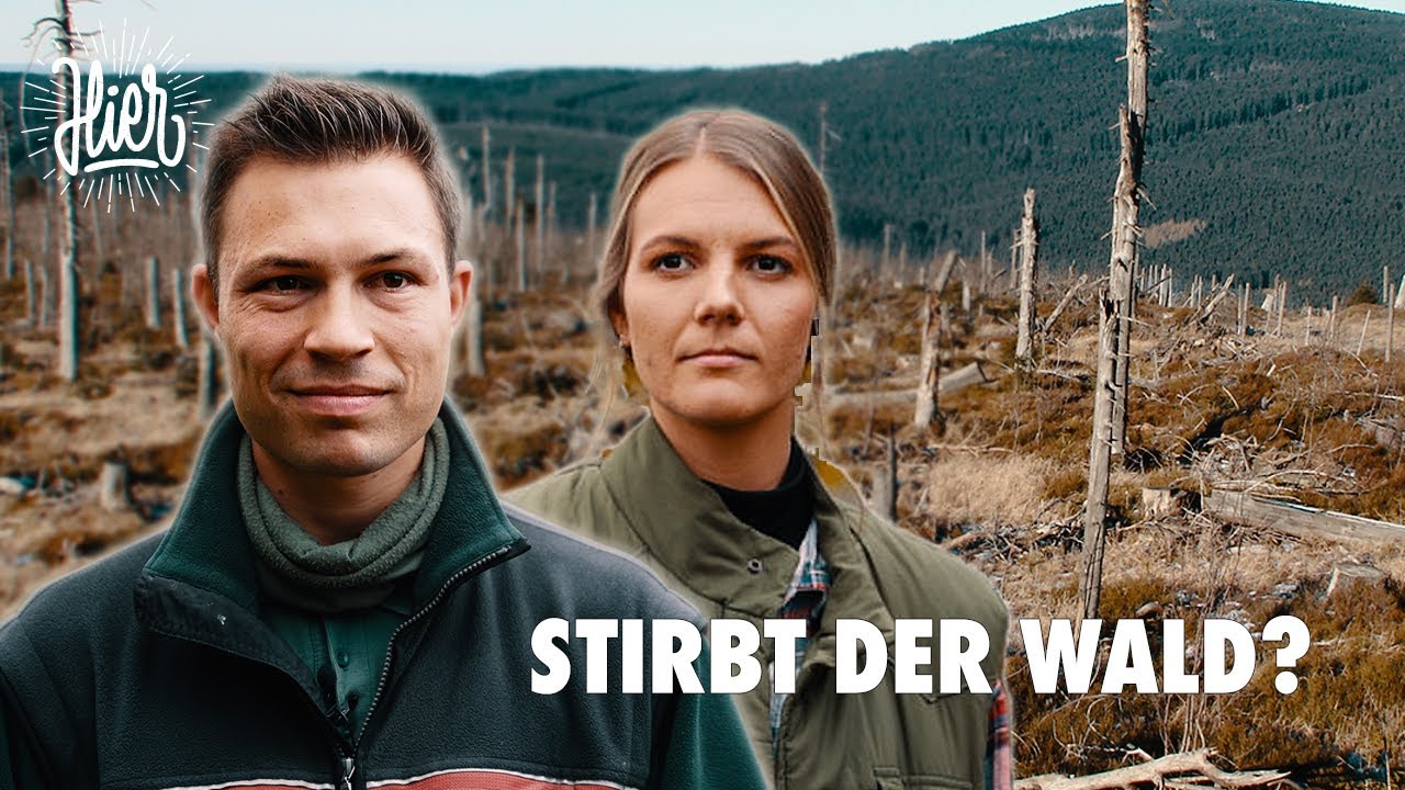 Waldsterben - Holzwirtschaft vs. Klimaschutz? | Portrait | #13