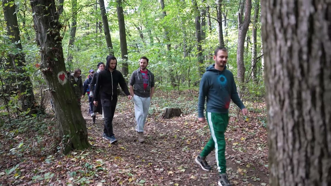 Hiking 4 All | Fruska Gora, Serbia