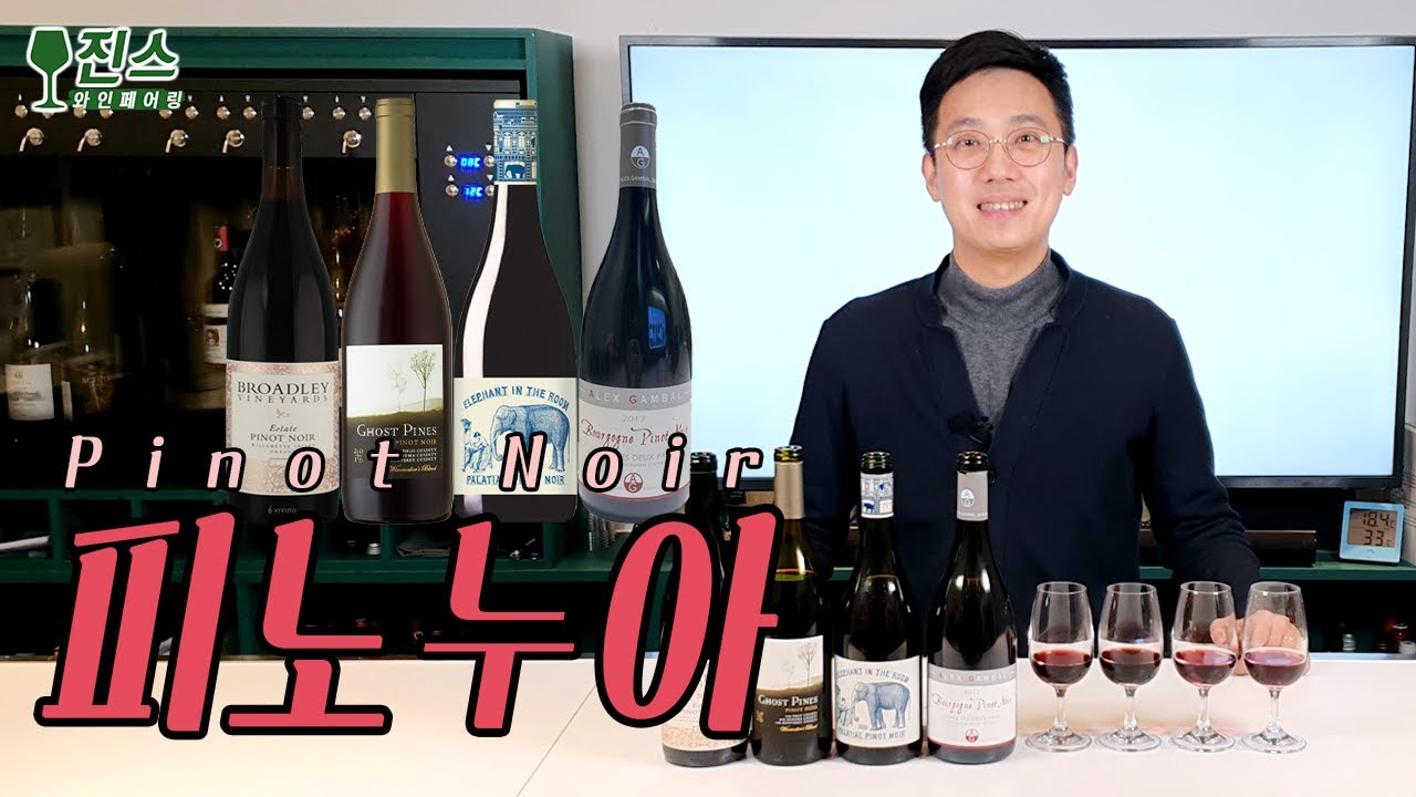 피노누아 (Pinot Noir) 같은품종 다른느낌 4종 국가별 비교 테이스팅 ㅣ품종별 취향찾기