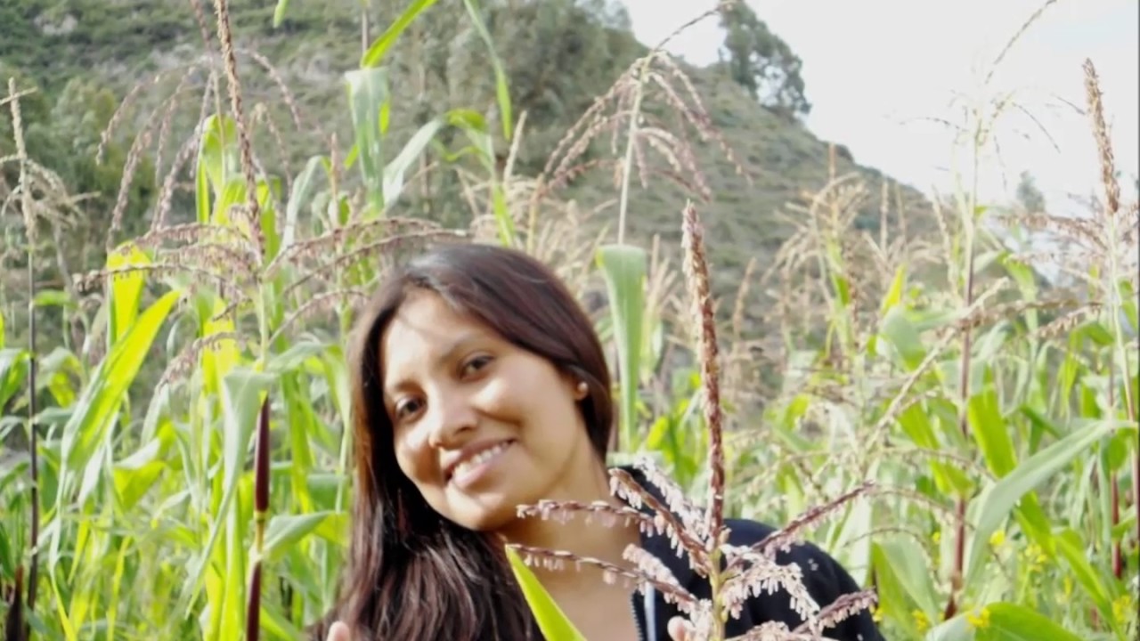 UNFORGETTABLE  EXPERIENCES IN CABANA SUR