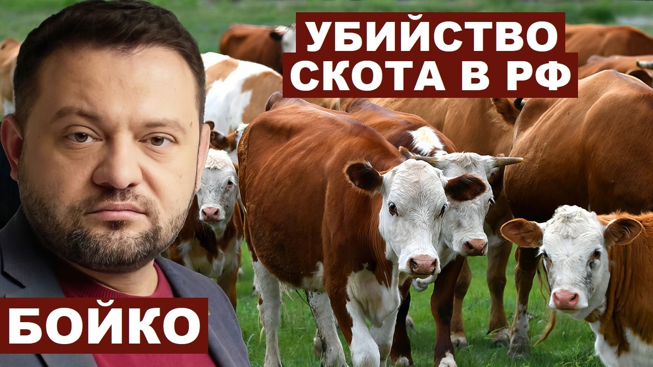 Сергей Бойко. Уничтожение животных в РФ @_Sergey_Boyko ​