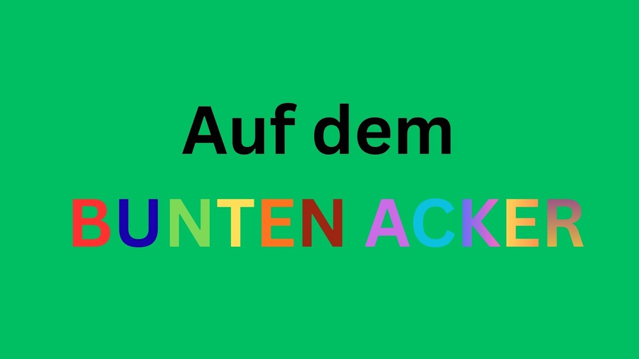 Auf dem BUNTEN ACKER   SoLaWi Wallernhausen 110226