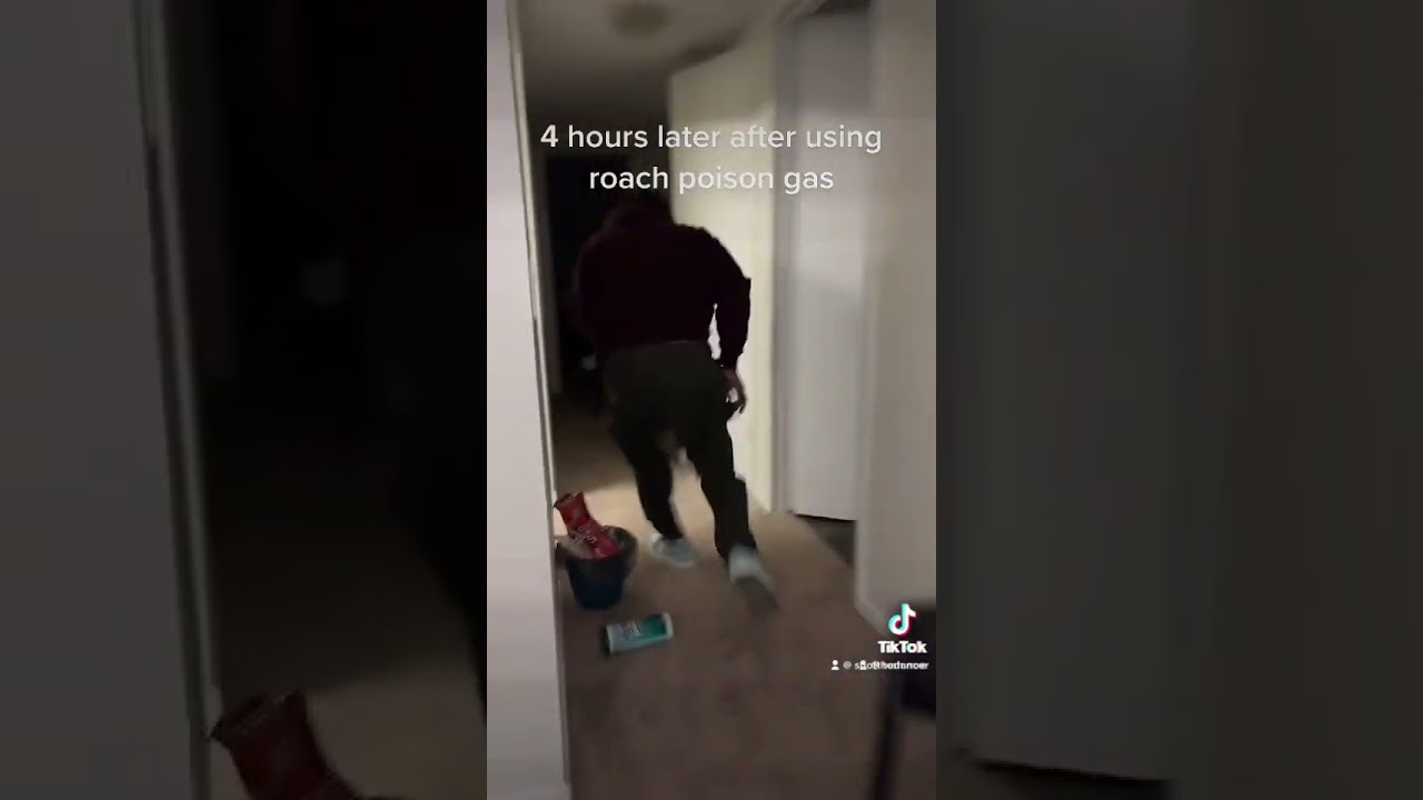 After You Use Roach Foggers In The House #roaches #funny #shorts