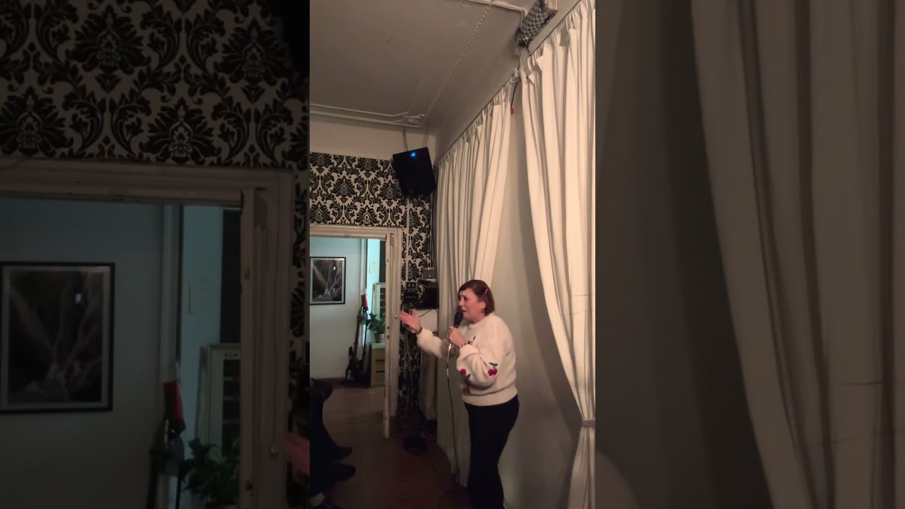 Opening for Lisa Rothmans show Mommie Meltdown. 