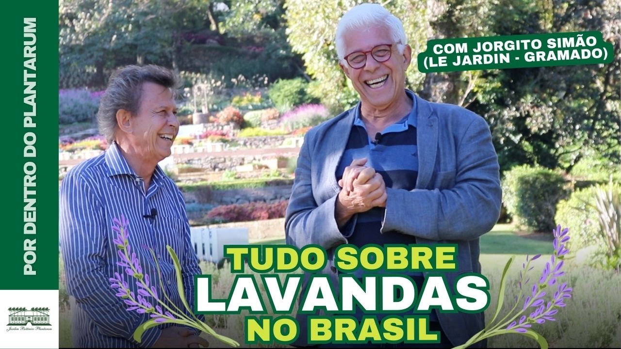 Especial Lavandas | Le Jardin - Gramado - RS | Com Jorgito Simão | Jardim Botânico Plantarum
