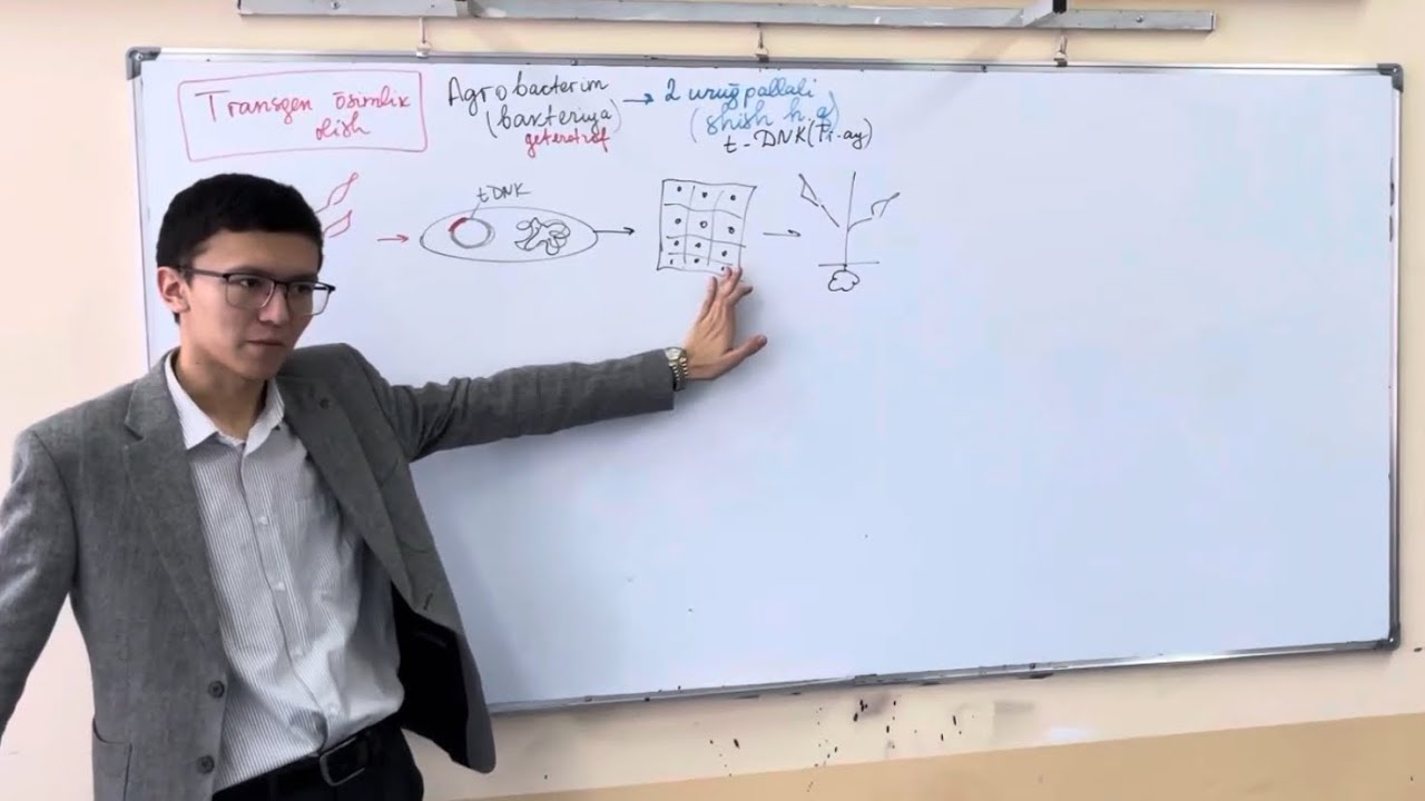 10-sinf. Gen muhandisligi. Transgen o'simlik olish