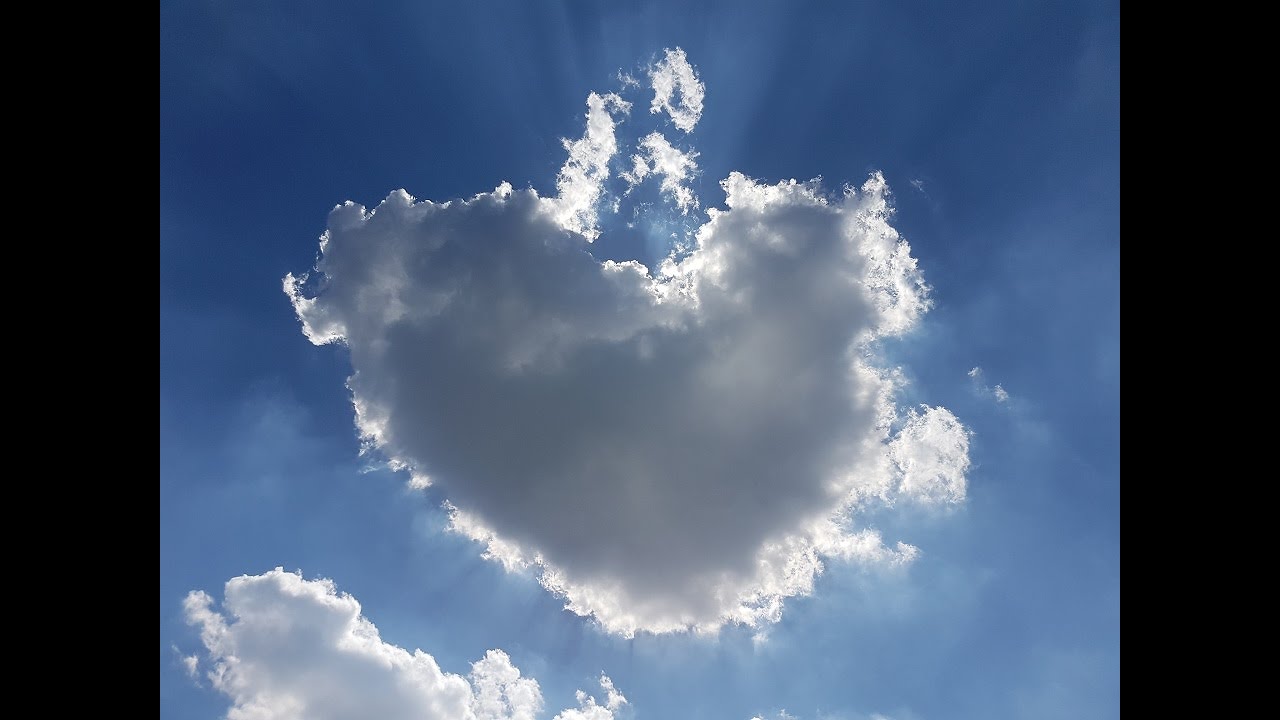 GESPR&Auml;CHE MIT GOTT - Band 1 von N. D. WALSCH Teil 1/4