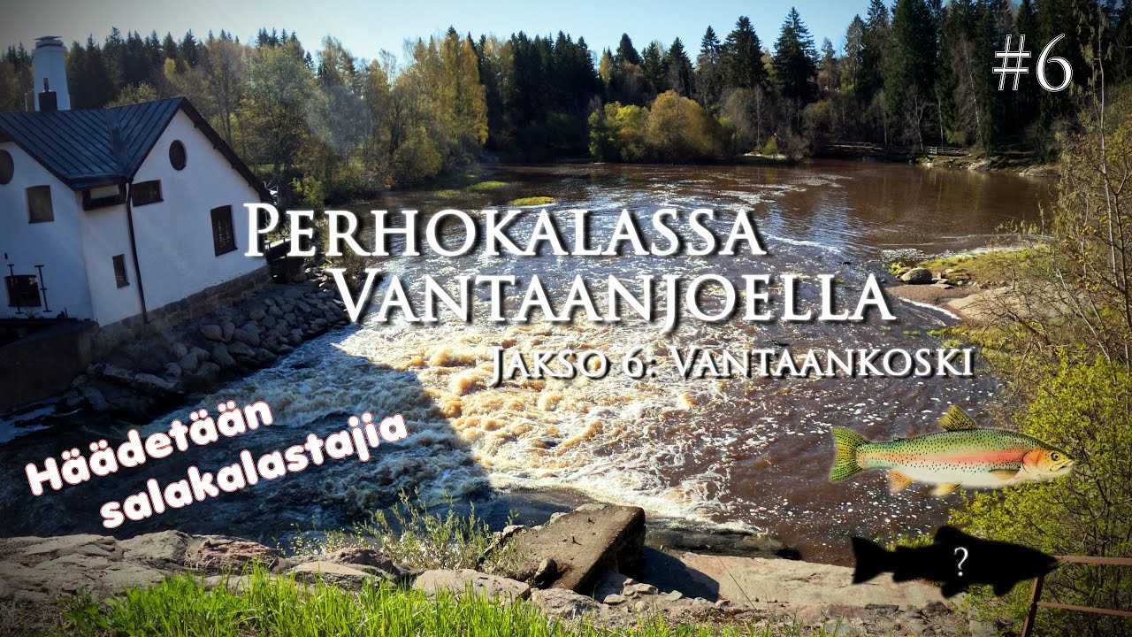 Perhokalassa Vantaanjoella - Jakso 6: Vantaankoski