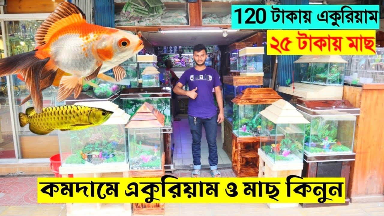 Aquarium price in Bangladesh 2023 🐟 Aquarium fish price in Bangladesh || Cheap Price Aquarium