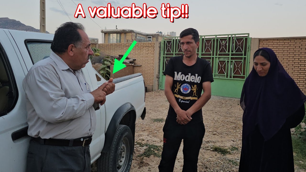 Engineer's Benevolence: Advice that informs Mehrdad and Leila