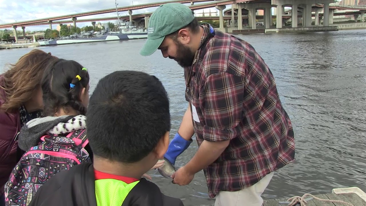 Day in the Life of the Hudson River