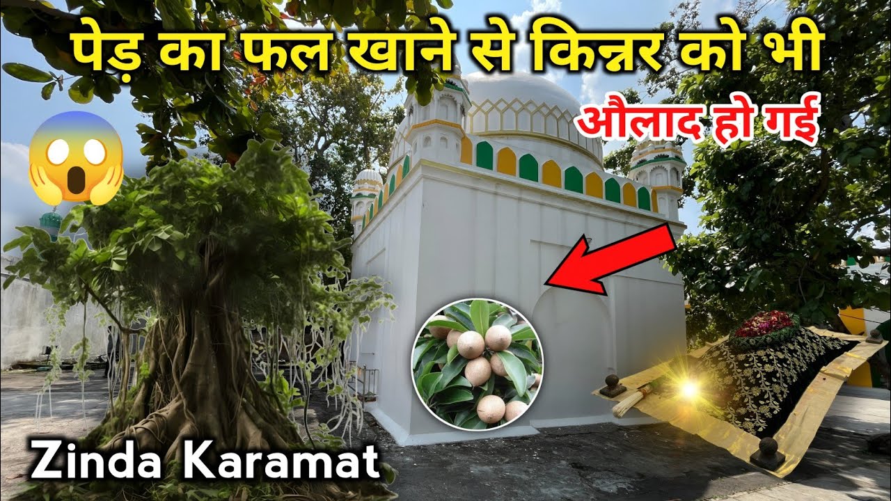 Zinda Karamat😱 Is Ped Ka Fal Khane Se Kinnar Ko Bhi Aulad Hui Hai | Jalaluddin Ganje Rawan Khuldabad