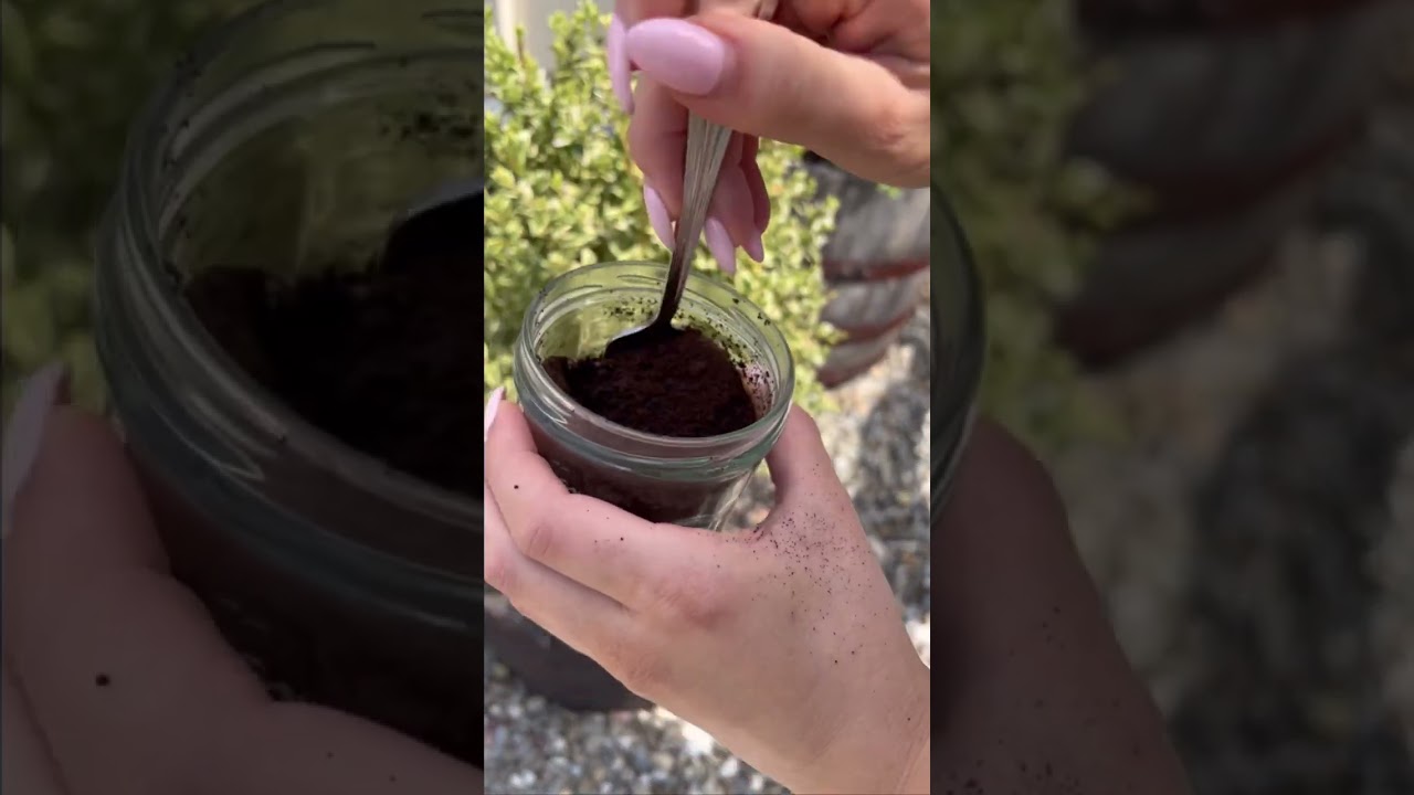 How to Reuse Your Coffee Grounds: Planting Edition