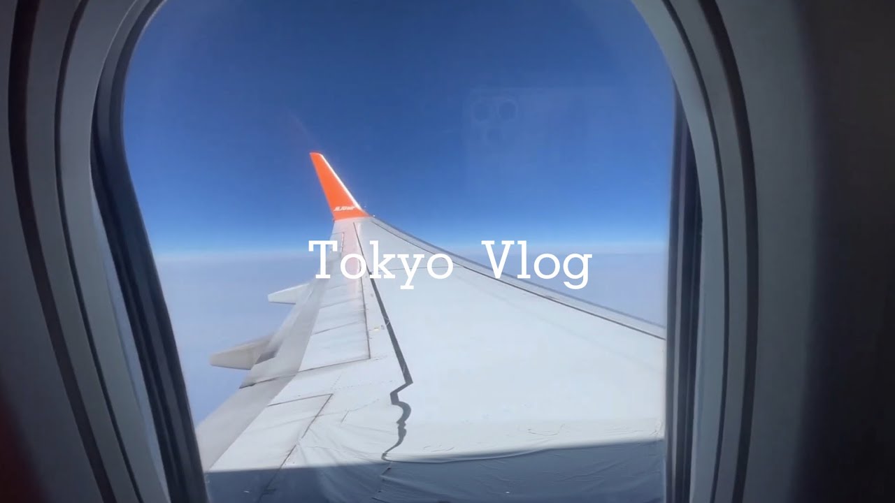 일본 브이로그 | 도쿄 직장인 | 일본 입국 | 돈키호테 | 이케부쿠로 | 일본 마트 | 일본 일상 브이로그 l 주민표 발급