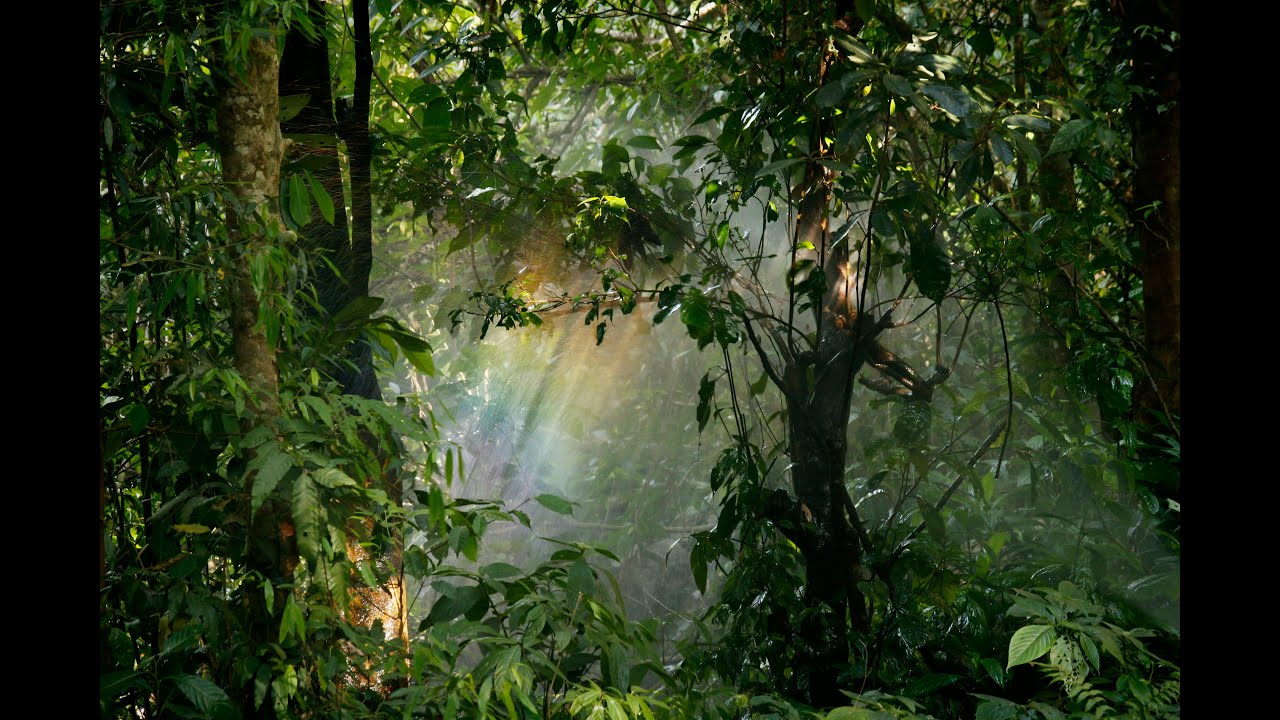 Reportaje sobre la comunidad Arcoíris