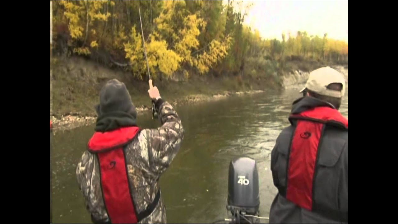 Pike Fly Fishing on the North Saskatchewan River