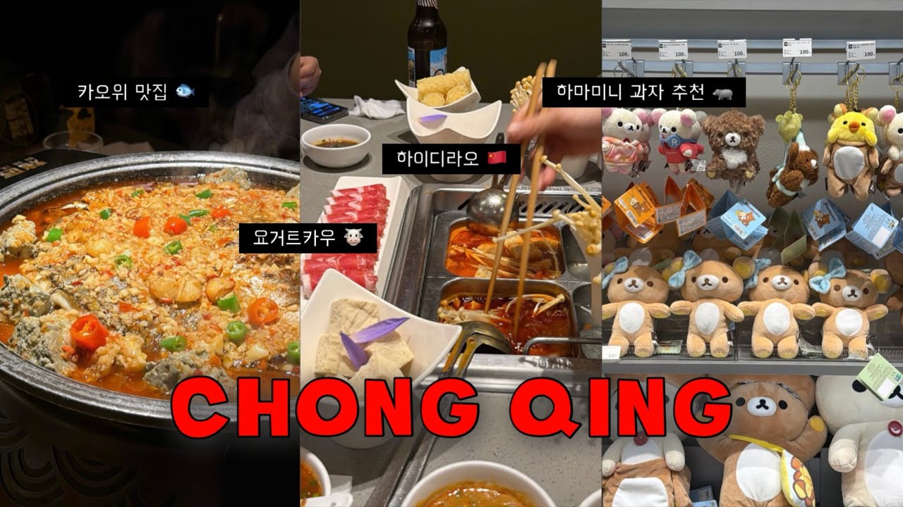 중국 충칭 여행 브이로그 🇨🇳 ㅣ 카오위 맛집 카오장 ㅣ 하마 미니 쇼핑ㅣ 하이디라오ㅣ 공항에서 아이돌 본 썰 ‼️ ㅣ 충칭 쇼핑 리스트