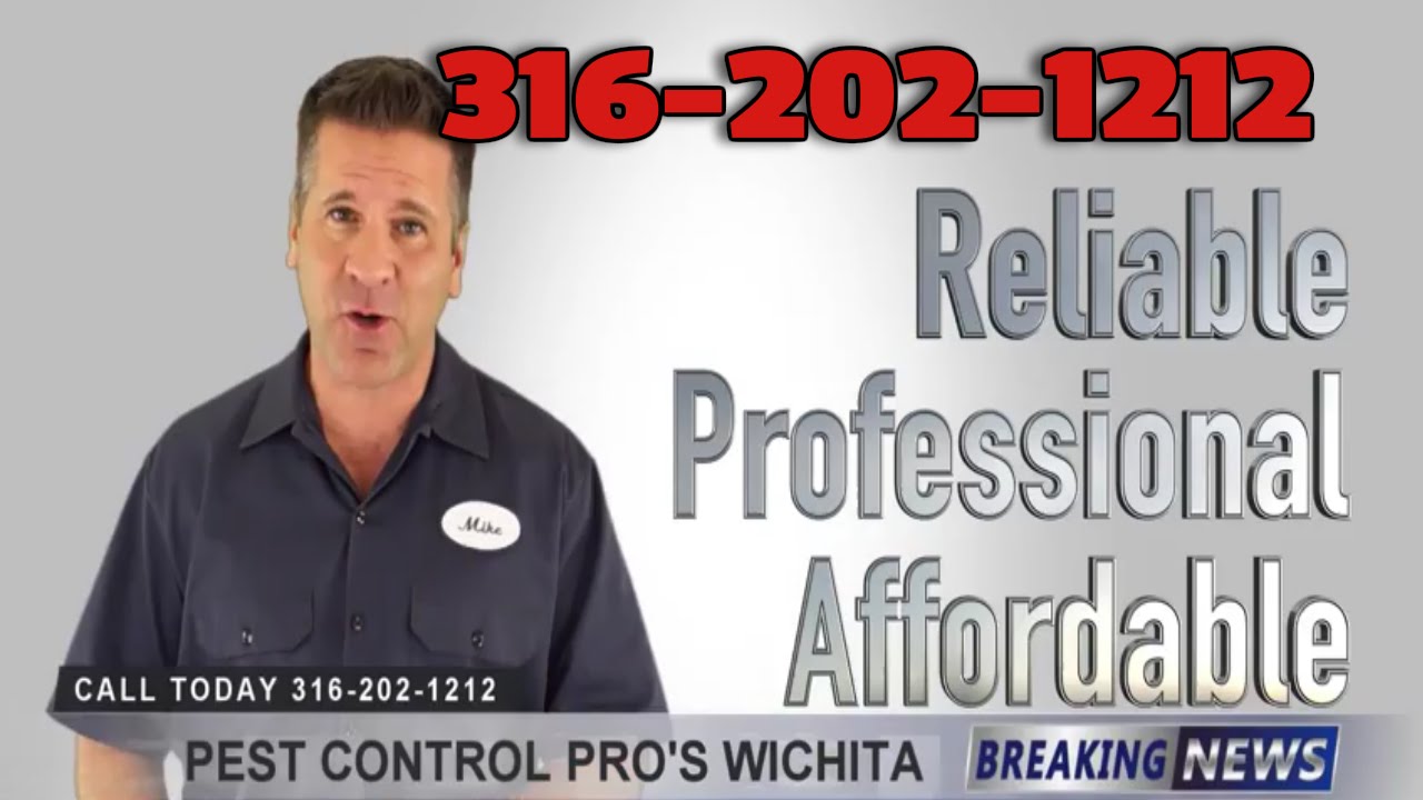 Best Termite Control Companies Haysville KS