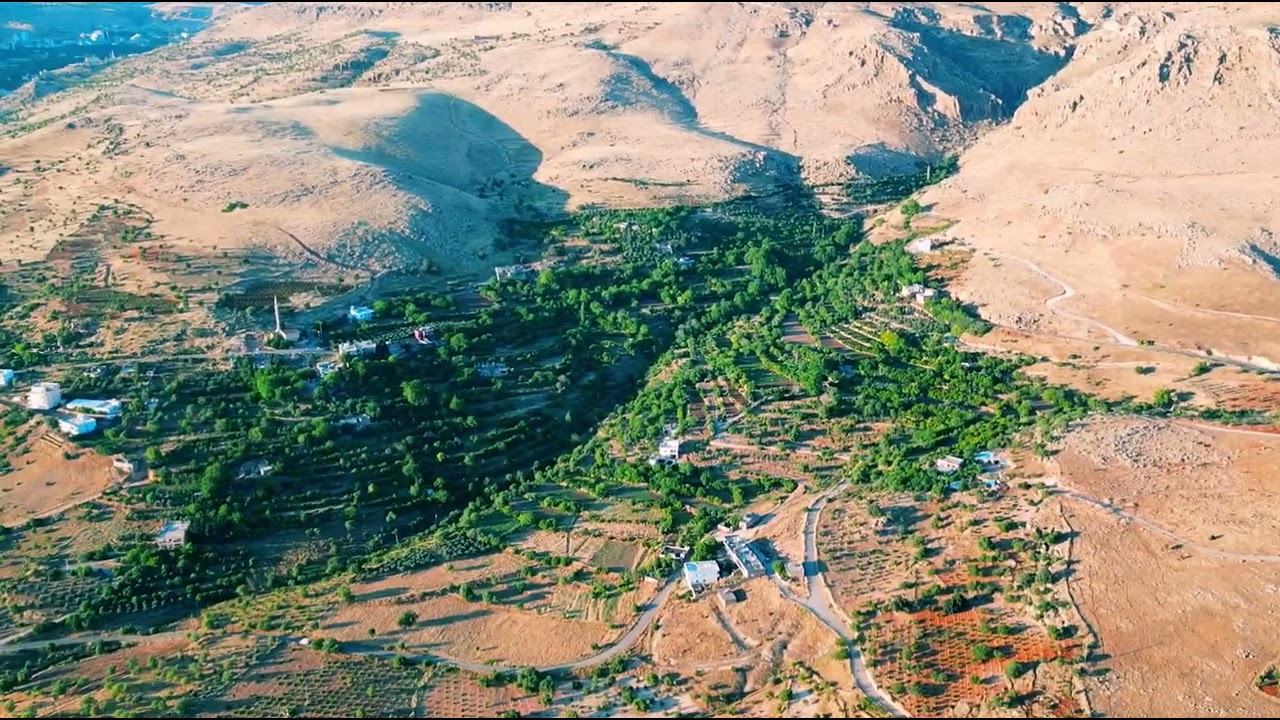 nahrase bülbül gül dron