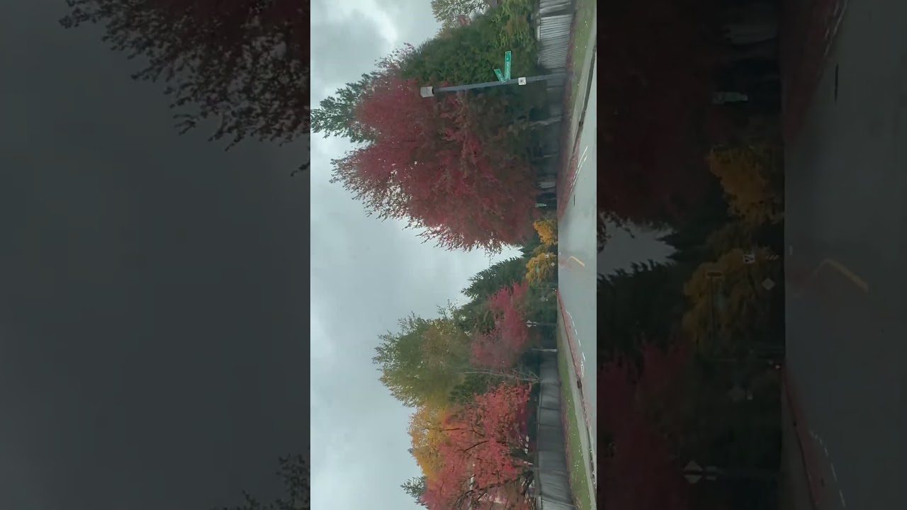 Amazing Fall in Vancouver, BC, Canada 
