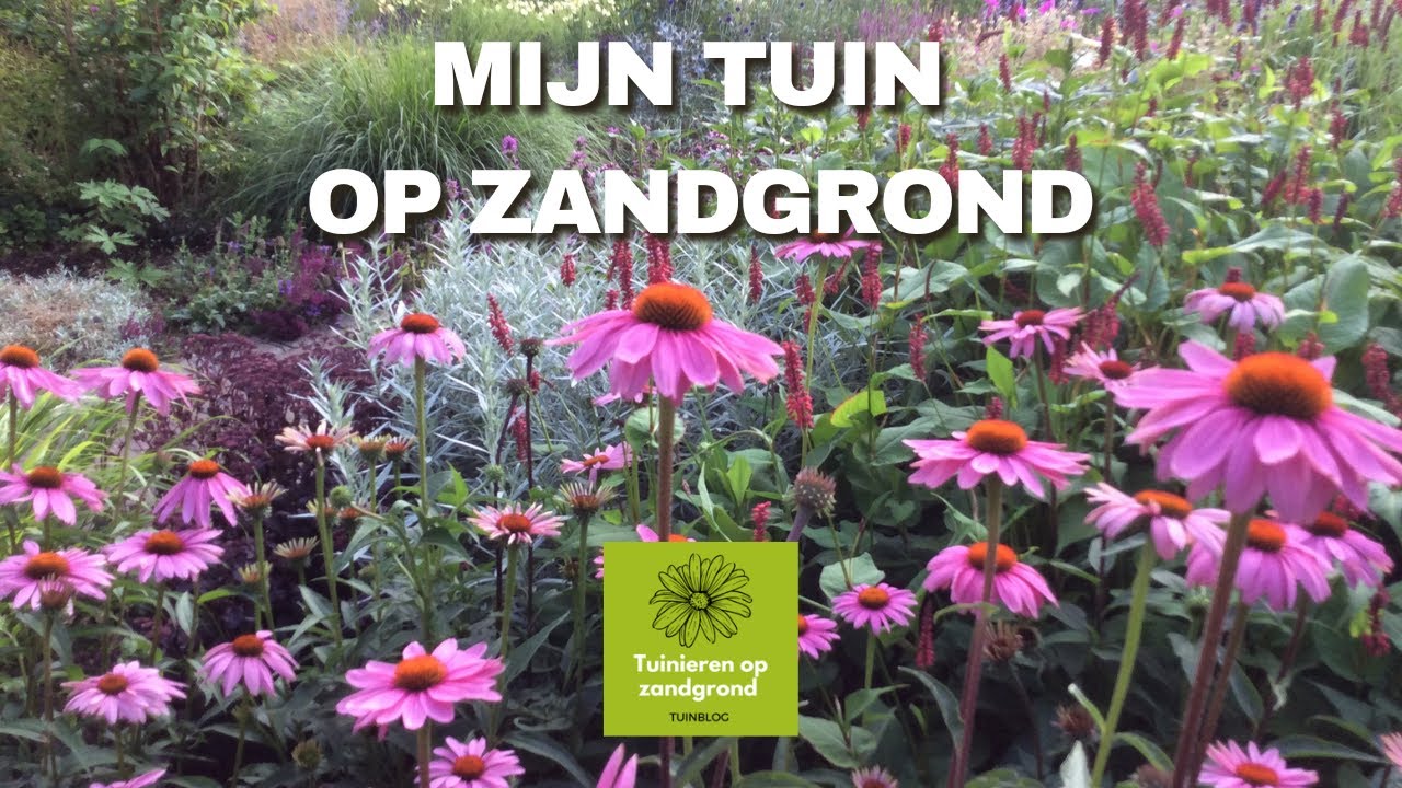 Mijn tuin op zandgrond