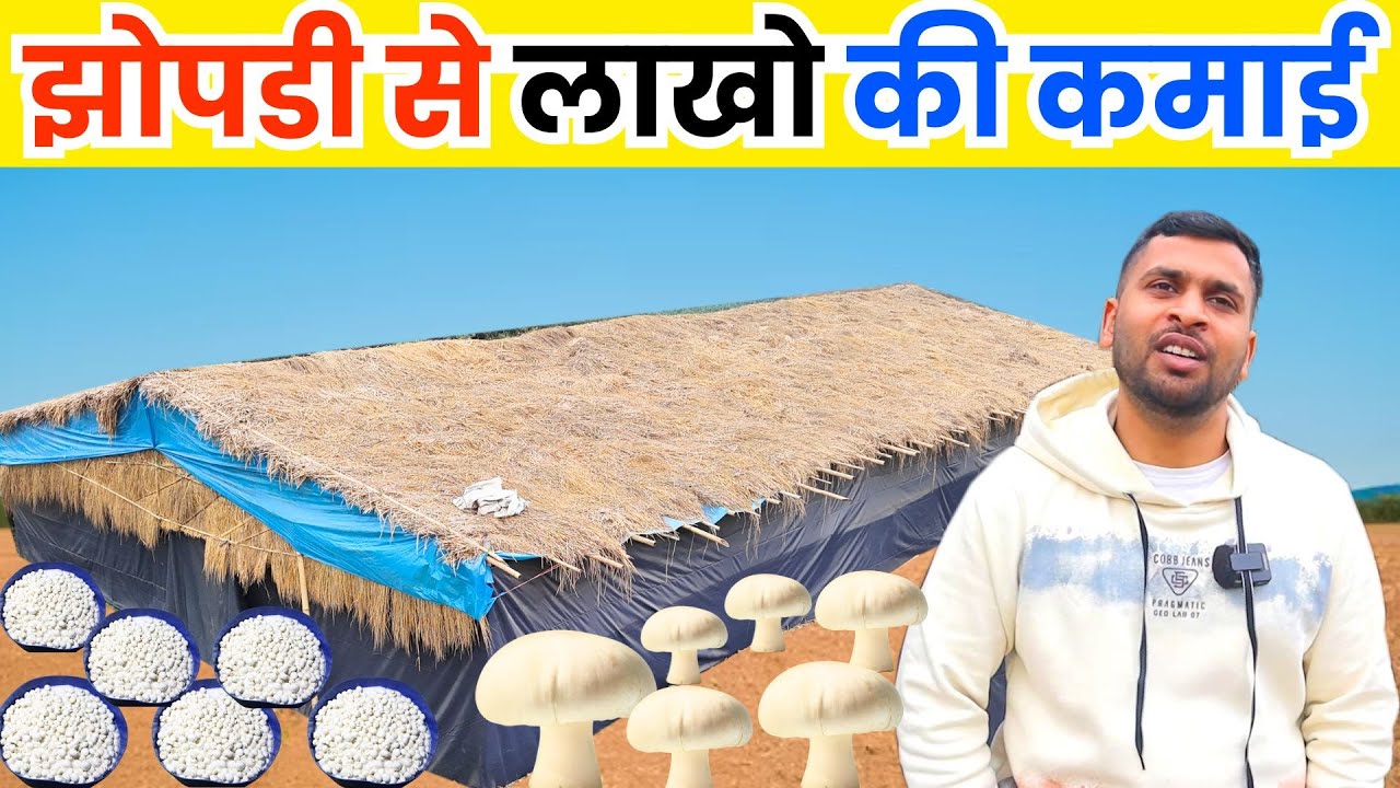 साल के 6 महीना काम कर , कमाता हूँ 12 लाख | Button mushroom | Mushroom Business | Mushroom Farm