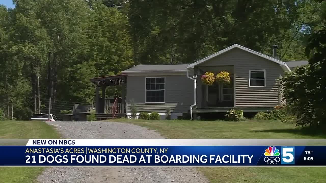 21 dogs found dead at boarding facility in Northern New York; investigation underway