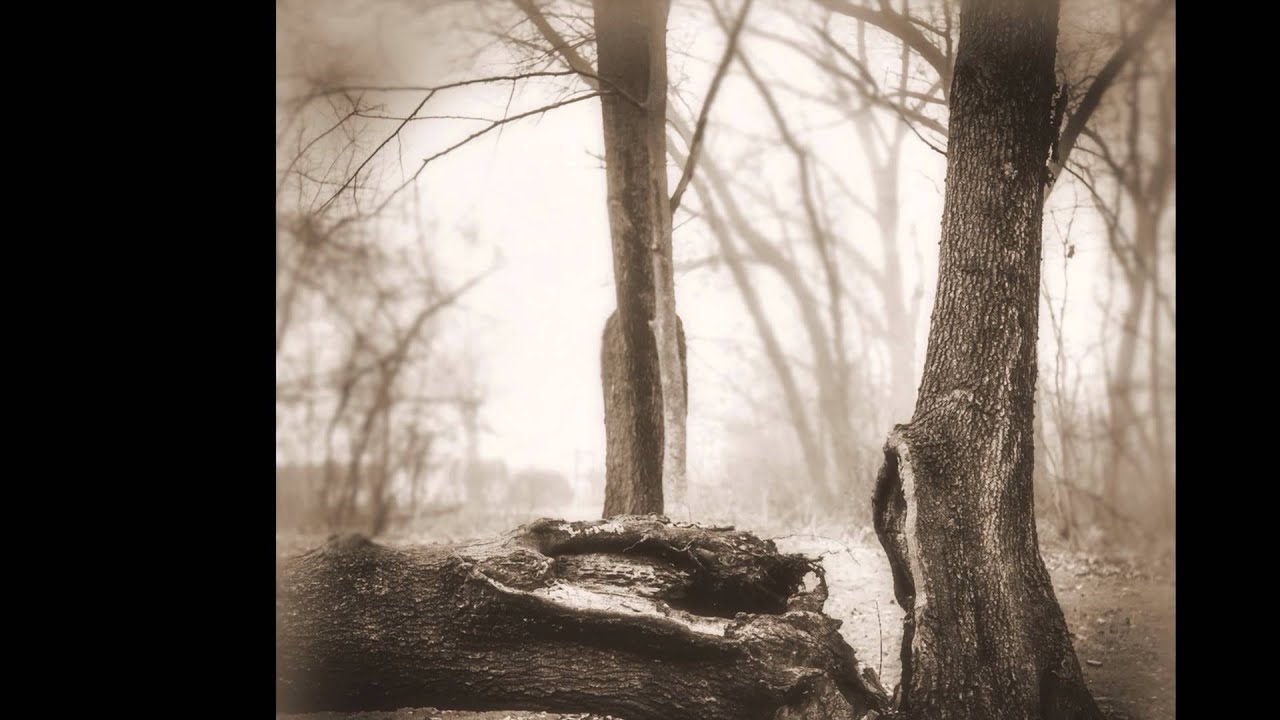 Mamiya C3 Medium Format Film Images [120 film]
