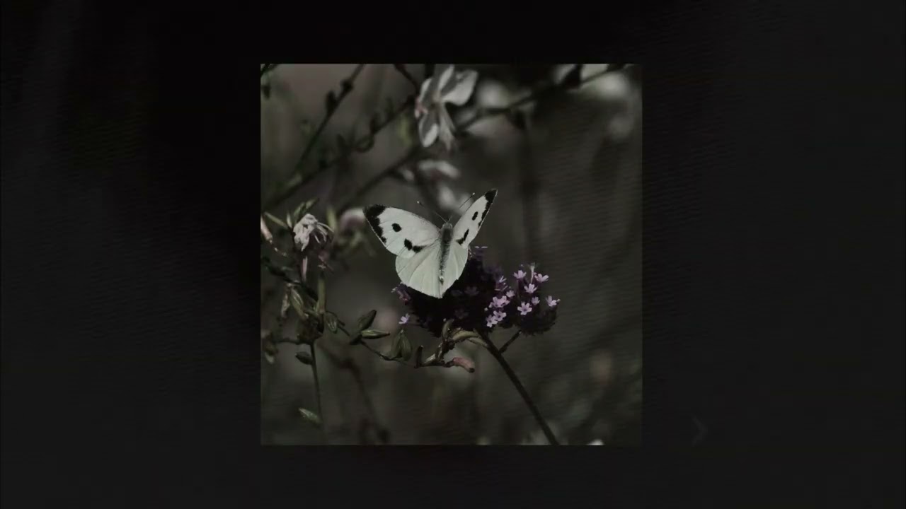 [free] post-hardcore ✯ early 2000's emo ✯ alternative rock type instrumental