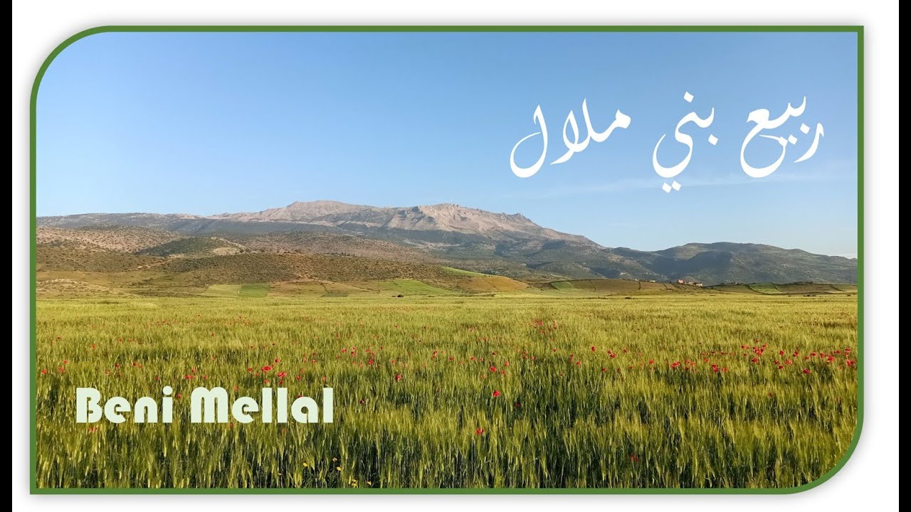 Le printemps à Beni Mellal 2021 ريحة البــــــــــــــلاد ، ربيــــــــــــــع بني ملال