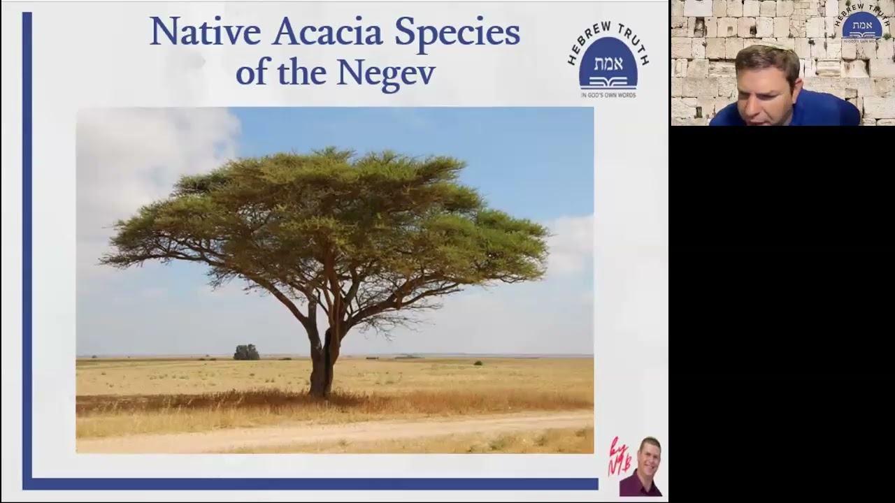 Why Acacia? The Science and Syntax of the Biblical Tabernacle