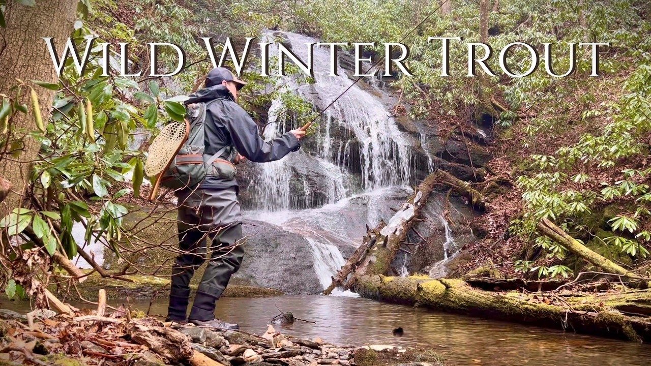 Wild Winter Trout: Exploring Unnamed Blue Lines in North Georgia