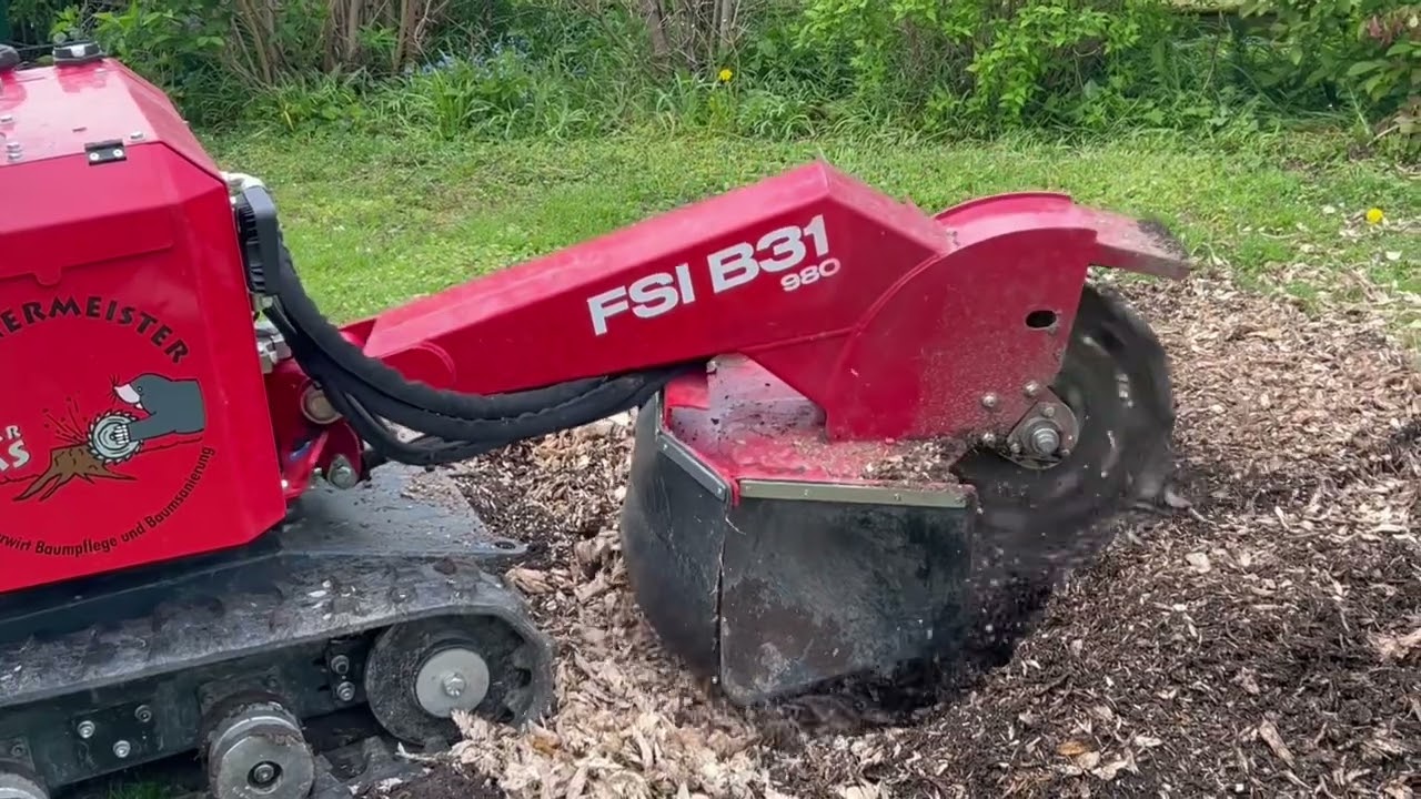 FSI B31 980