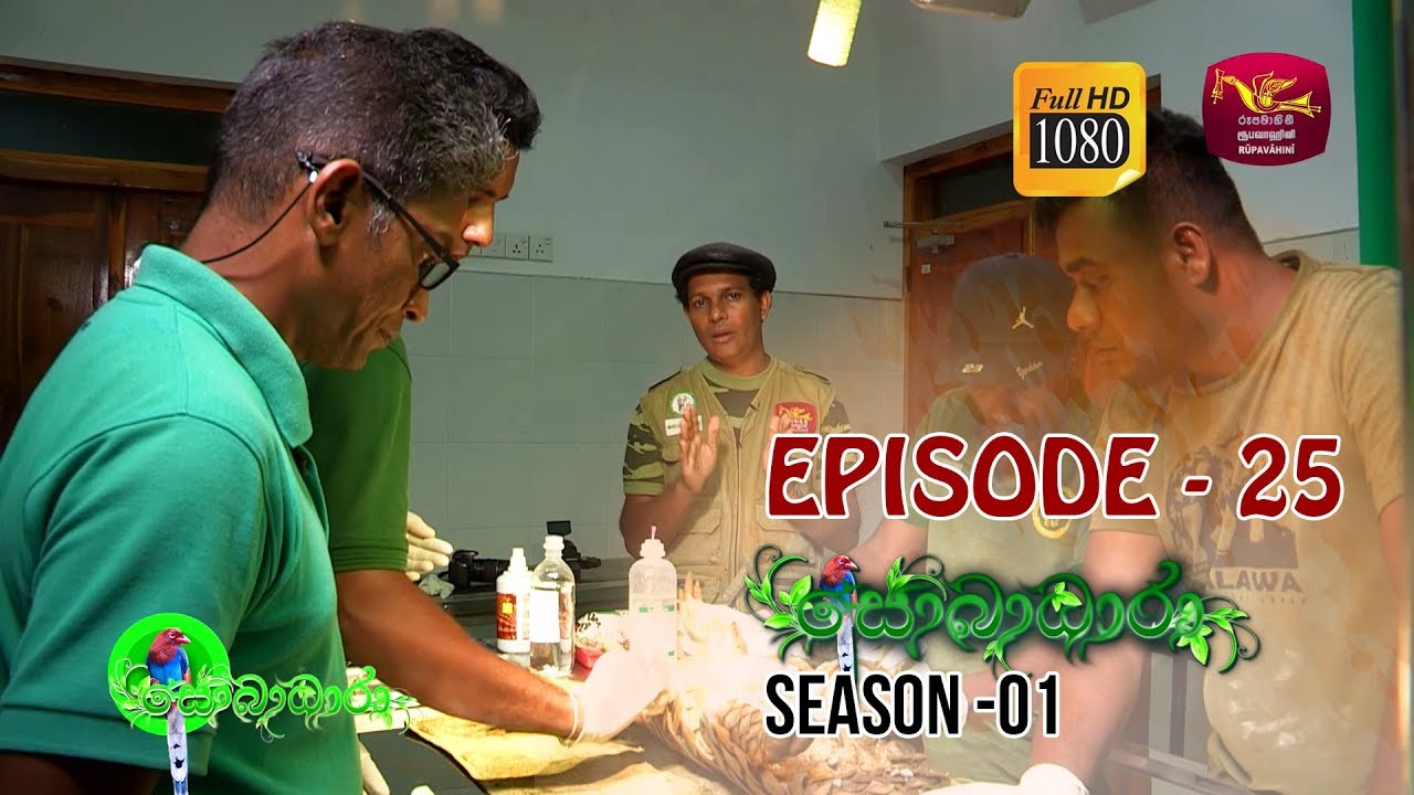 Sobadhara  | Season - 01 | Episode 25 | Sobadhara Rupavahini