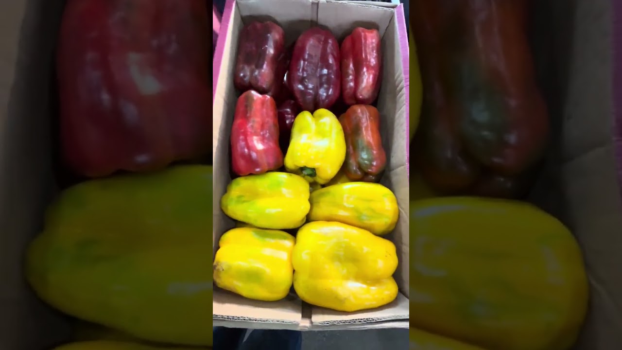 Pesquisa de preços Ceasa Minas Contagem. #ceasa #ceasarj #produtorrural #hortifruti #frutas 