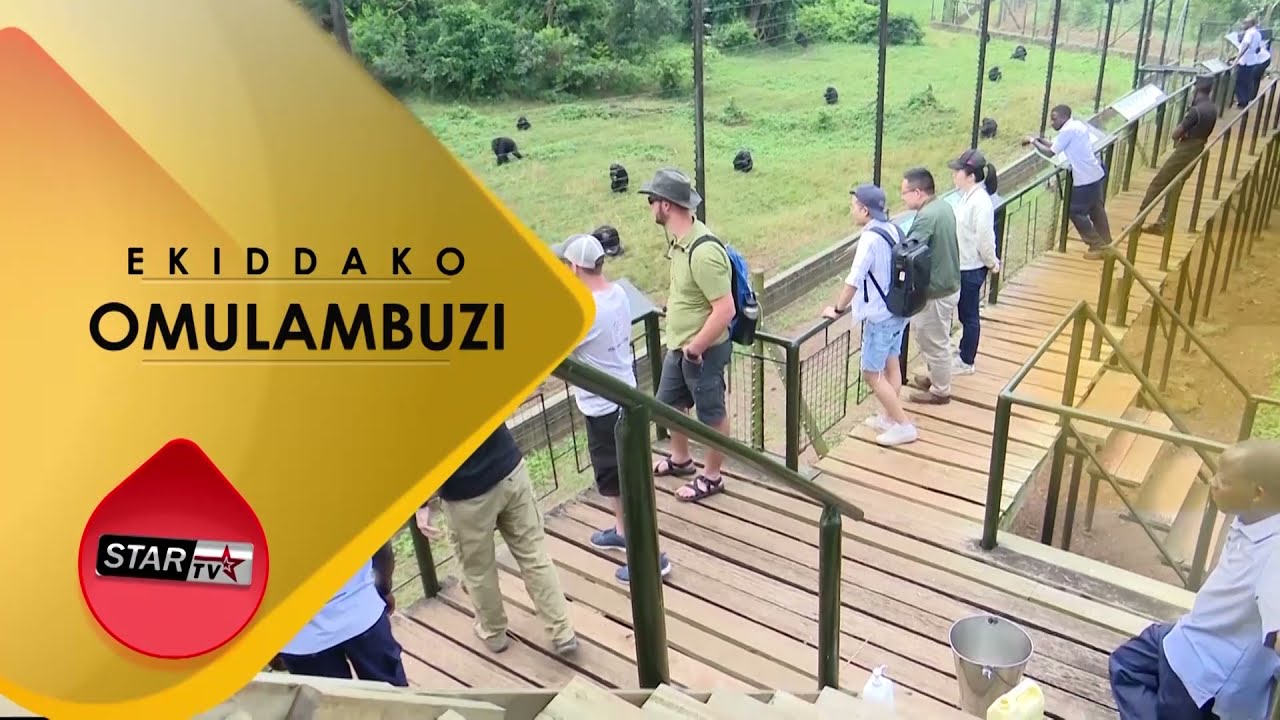 RWENJERU AGRO TOURISM FARM MBARARA 