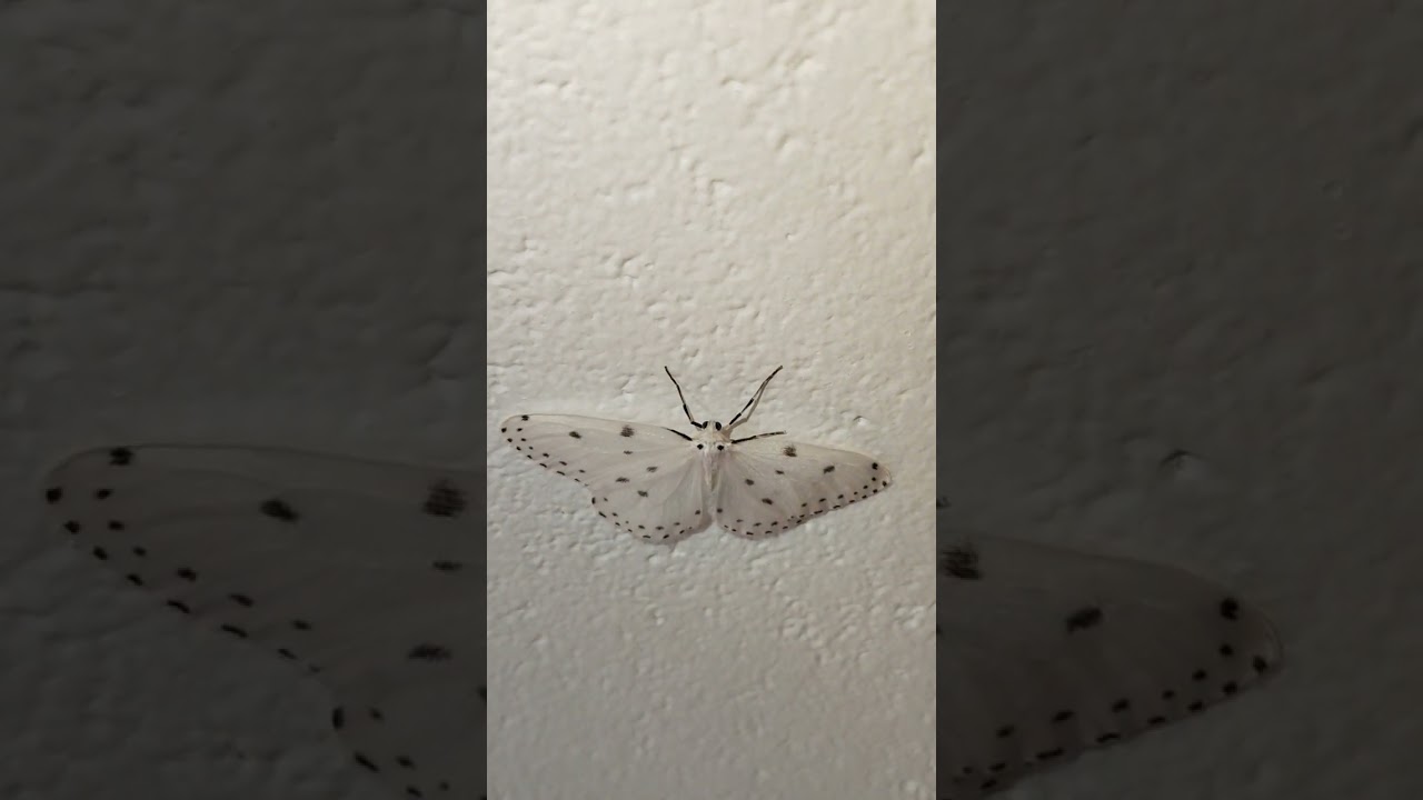 Find Time For Yourself 🦋 