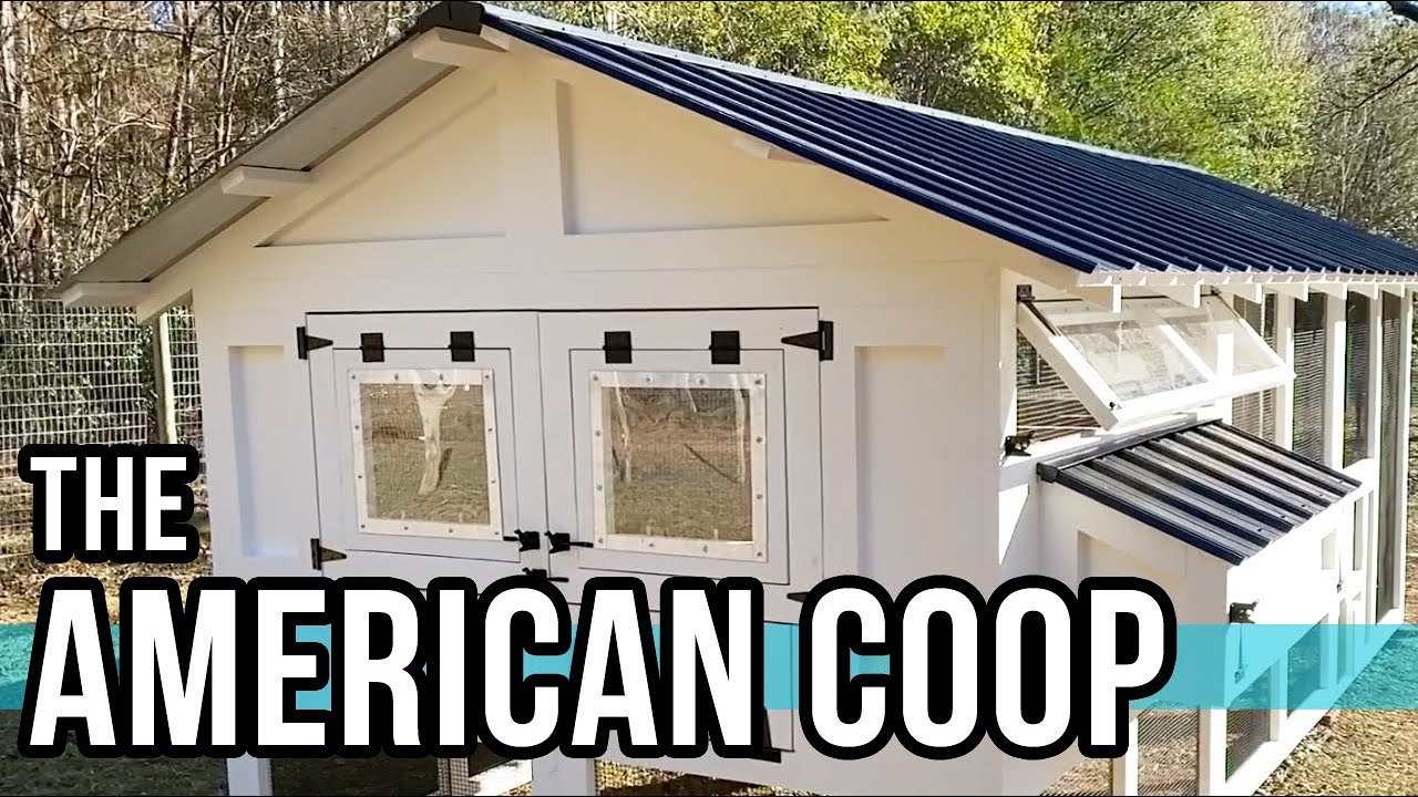 The American Coop - The Ultimate Chicken Coop