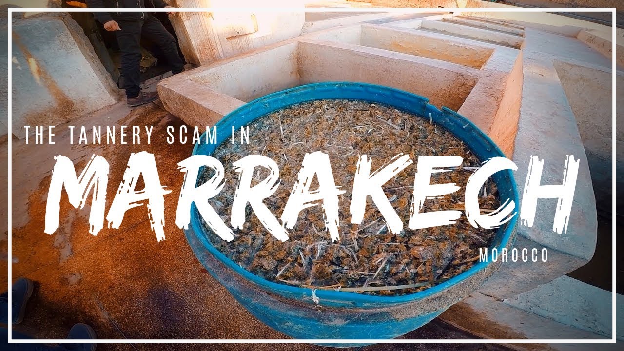 Marrakech Safety: The Tannery Scam!