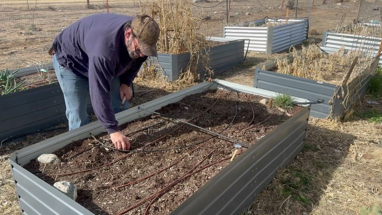 Spring Prep for the Raised Bed Garden on the Homestead! 🌱🌸