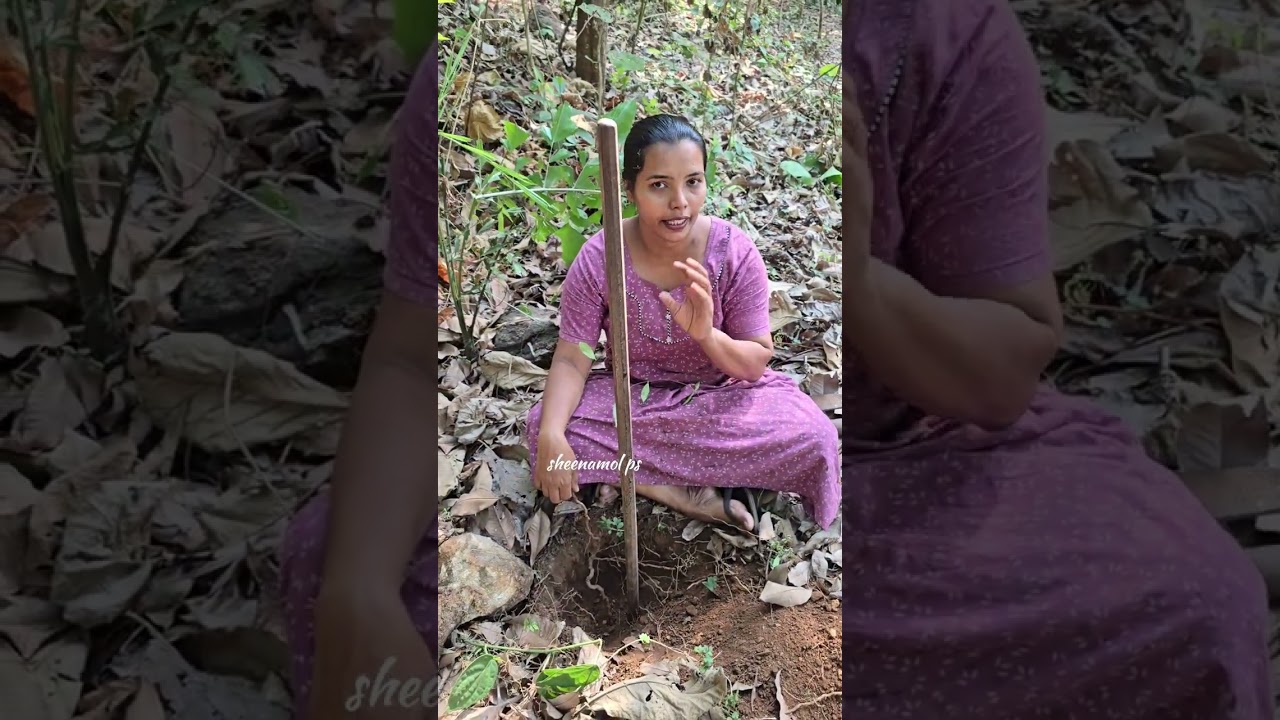 ശരീരത്തിനും മനസ്സിനും ആരോഗ്യത്തിനും ഒരുപോലെ ഉപകാരപ്രദമായ ഒരു ദാഹശമനി. നന്നാറി അഥവാ നറുനീണ്ടി
