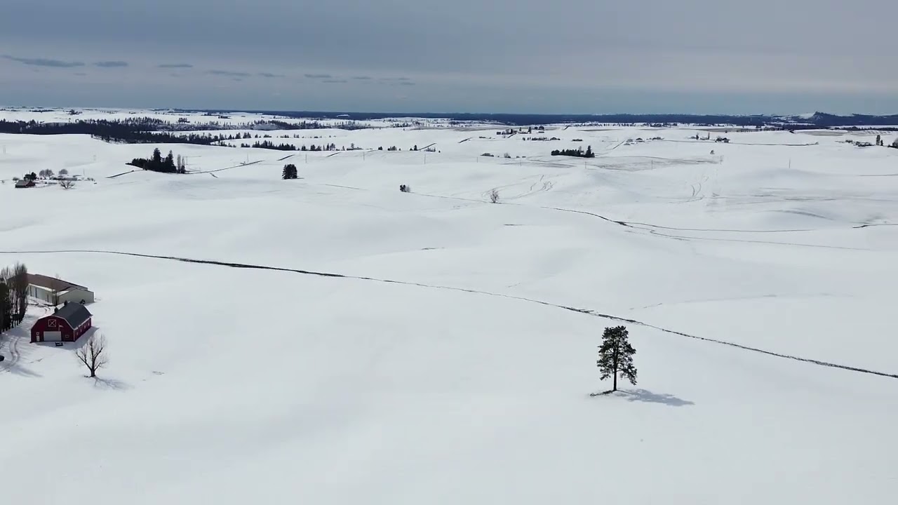Winter Scenery in the Palouse near Freeman WA
