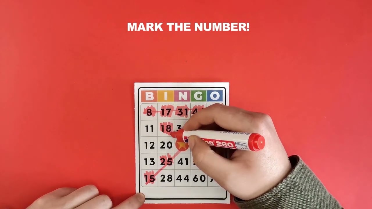 Bingo - Offline Board Game