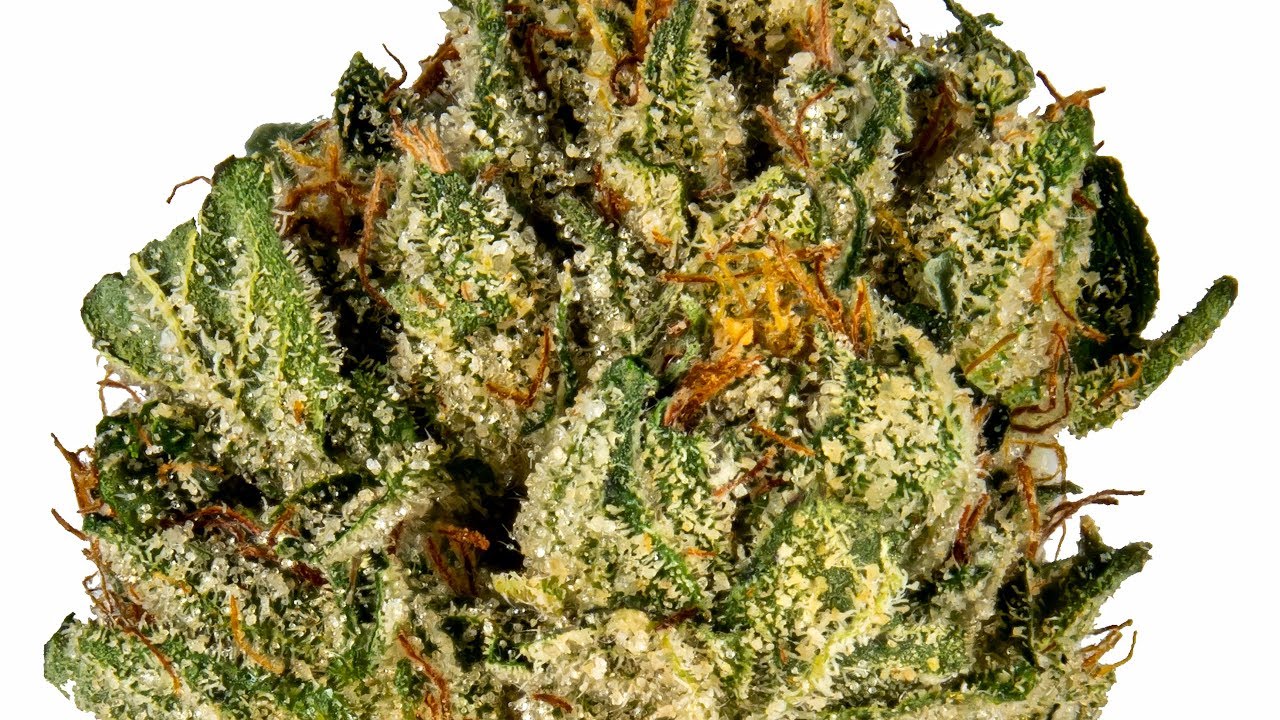 Lemon Walker | Strain Review