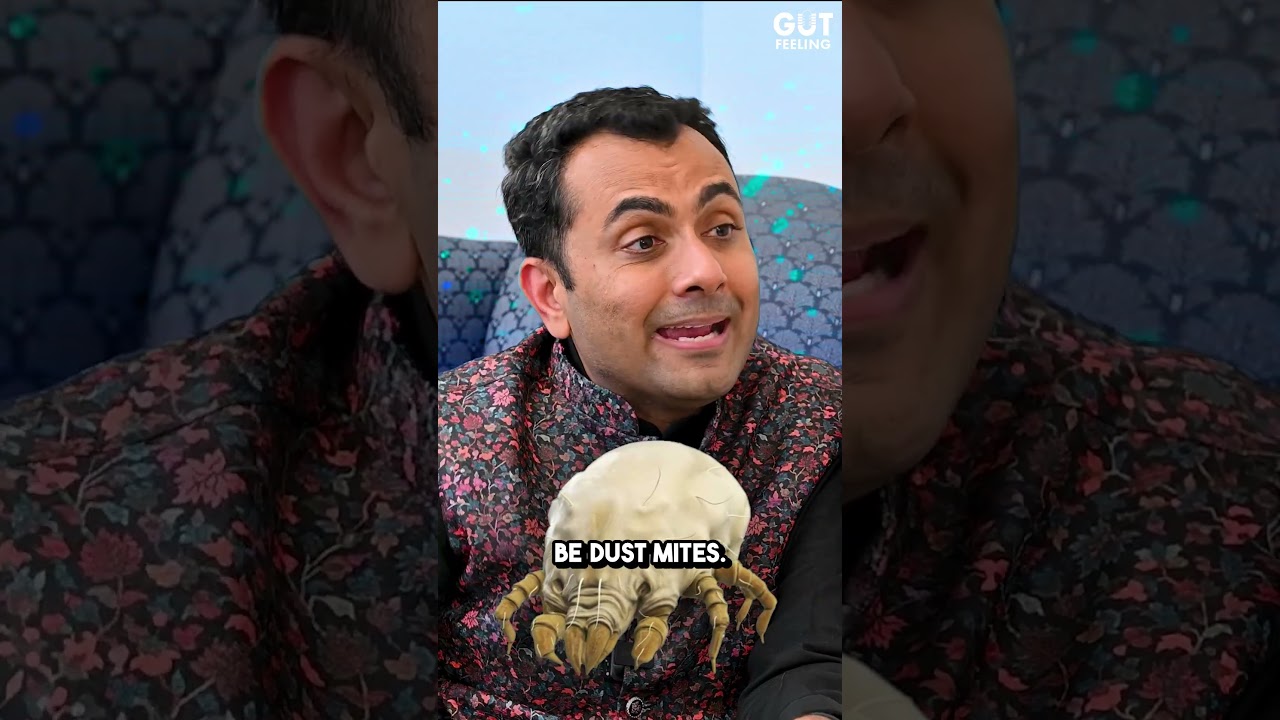 Do air purifiers really make a difference? 🧐🔍 Hear what the experts have to say! #airpurifiers