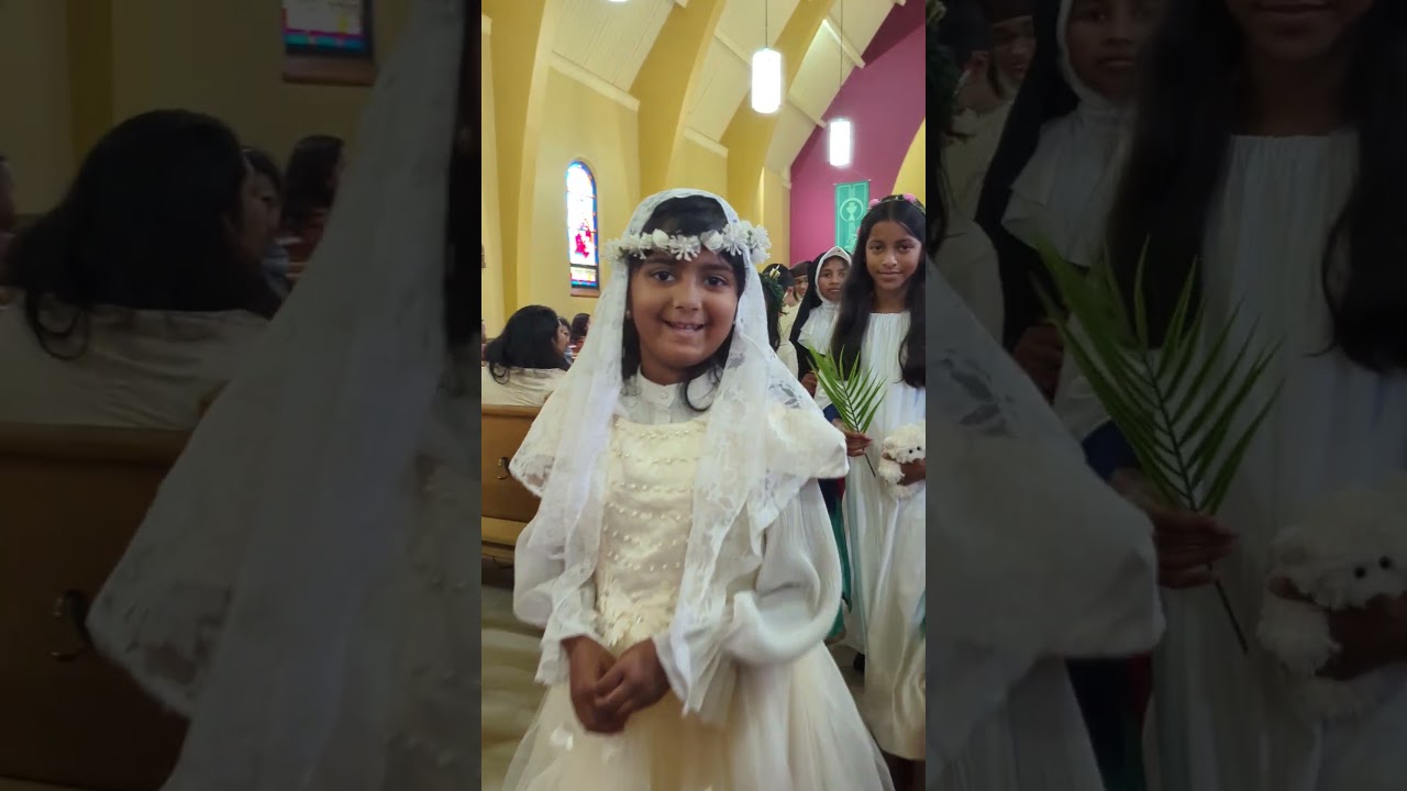 All saints day/ Holyween