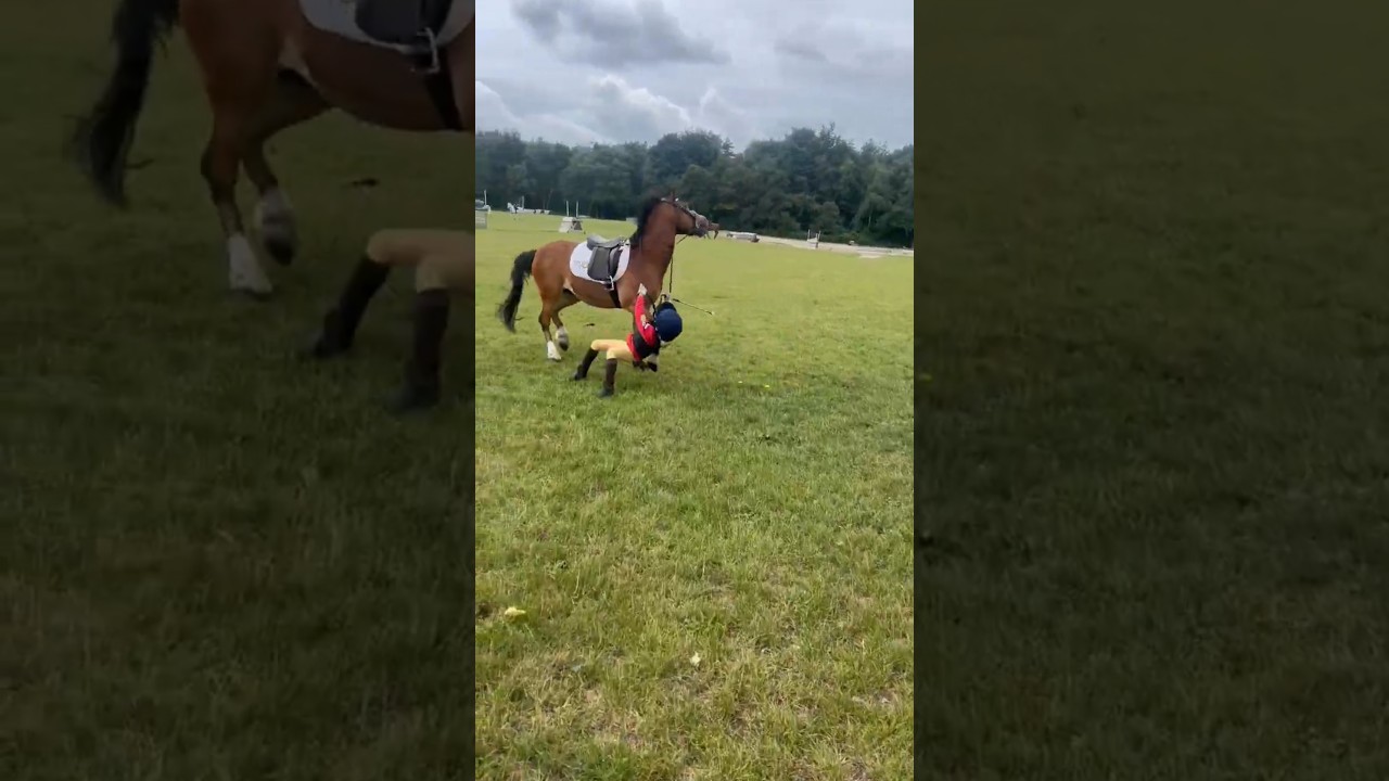 Влюбляйтесь снова и снова ❤️ #fallingoff #equestrianjourney #horsevlog #trotontwins #близнецы