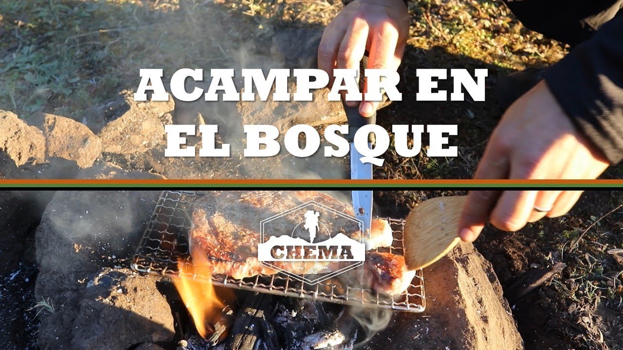 CAMPAMENTO en el bosque