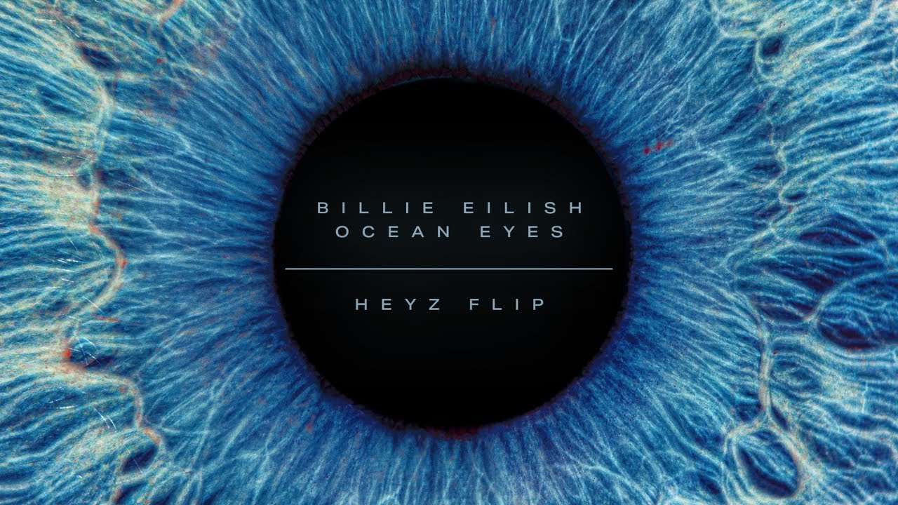 Billie Eilish - Ocean Eyes (HEYZ Flip)